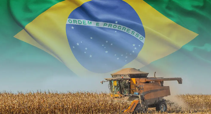 Brasil lidera a produtividade agropecuária mundial entre 187 países  